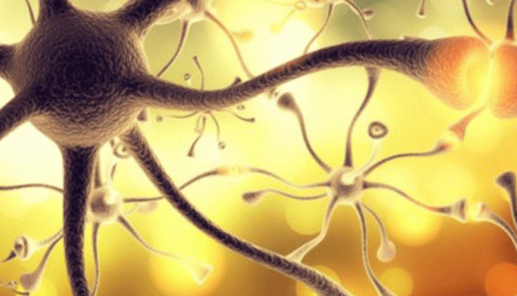 Nerves Healing with Restored Communication