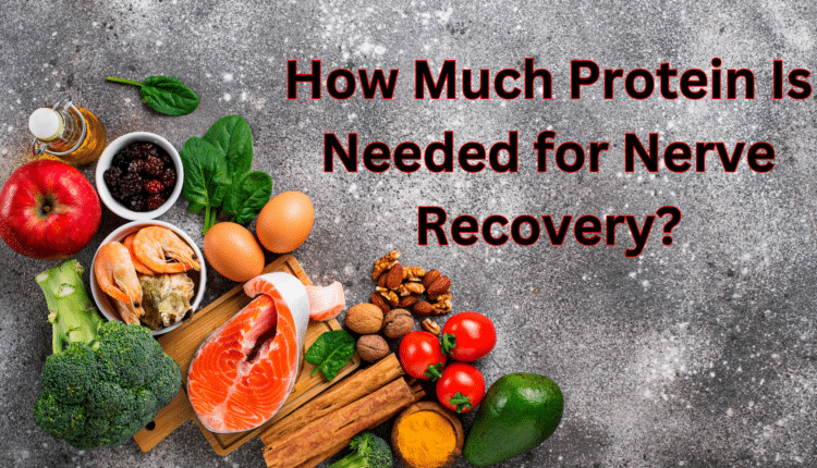 How Much Protein is Need for Nerve Recovery