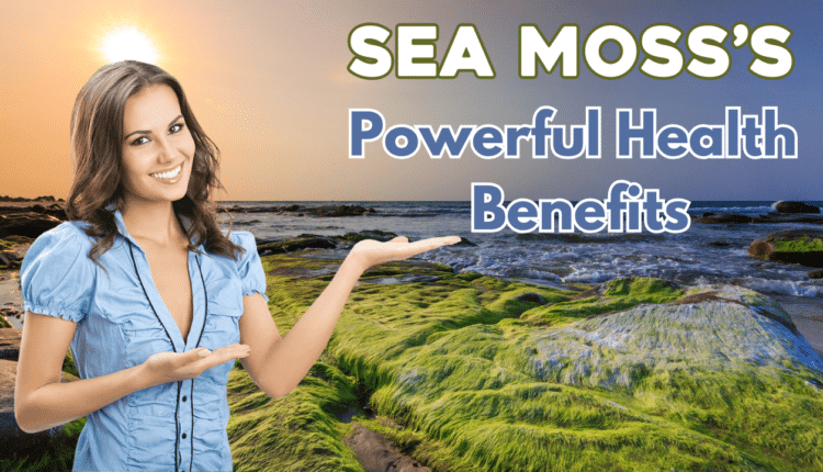 Sea Moss's Powerful Health Benefits