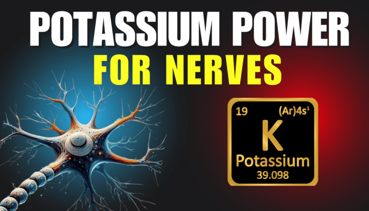 Potassium Power for Nerves