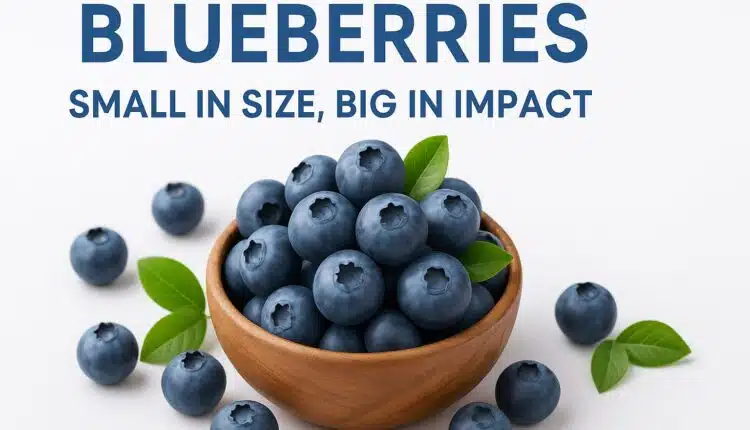 Blueberries: Small in Size, Big in Impact