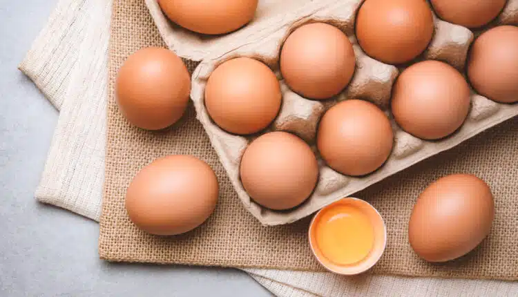 Organic chicken eggs food ingredients concept