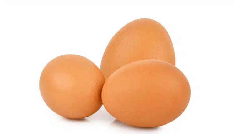 Eggs isolated on white