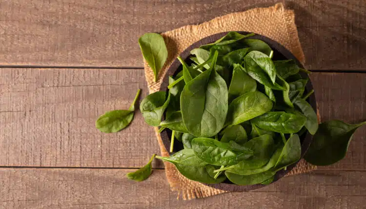 Green baby spinach leaves in wooden bowl on wooden background. Organic food concept.
